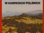 Wczesne średniowiecze w Karpatach polskich